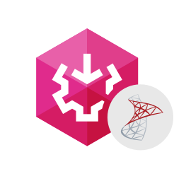 SSIS Data Flow Components for SQL Server logo