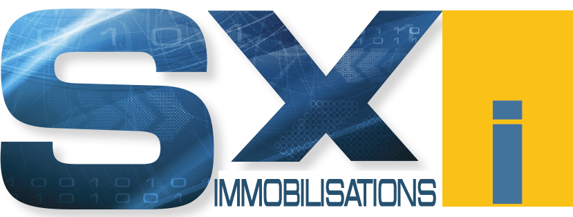 SXI - Immobilisations logo