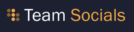 Team Socials logo