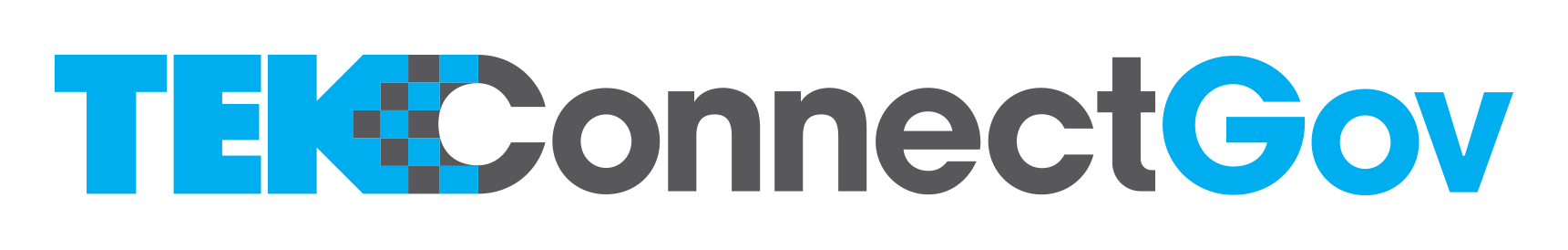 TEKConnectGov logo