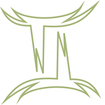 THE GEMINI Hospital Management Software logo