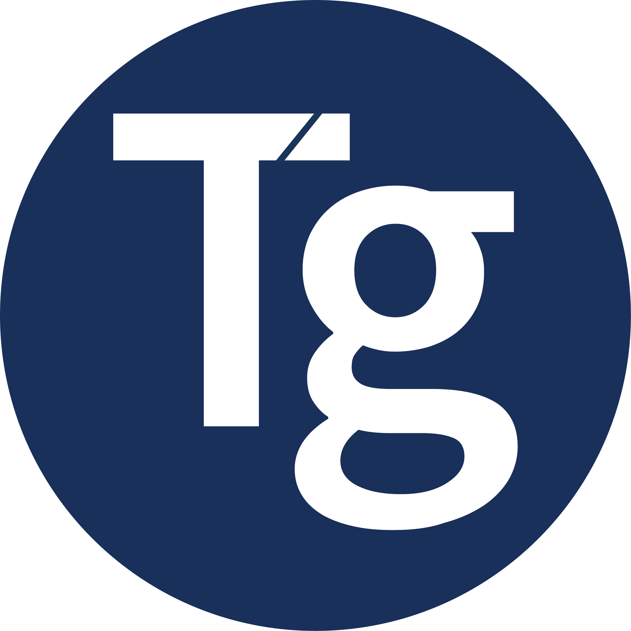 Timegate logo