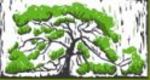 Trees in the Hood logo