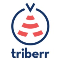 Triberr logo