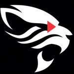 Video Jaguar logo