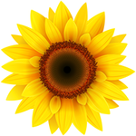 VideoPsalm logo