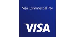 Visa Commercial Pay logo