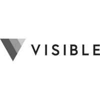 Visible for Investors logo