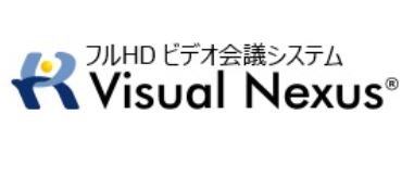 Visual Nexus logo