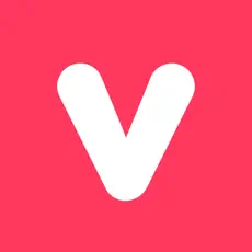 ViViViT logo