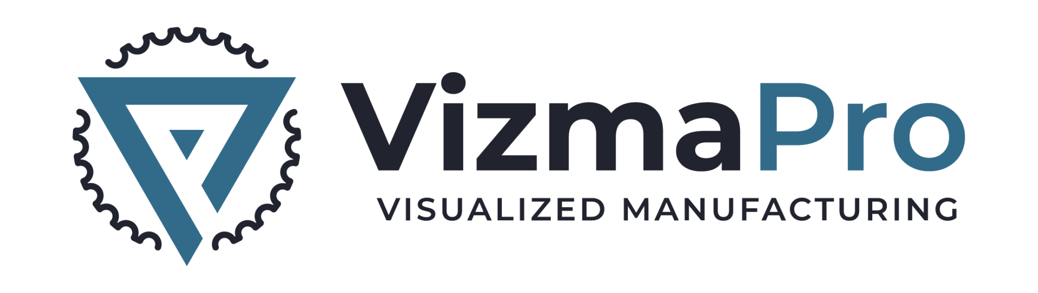 VizmaPro logo