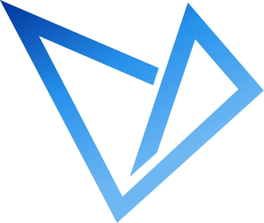 VIZOR IT Asset Management logo