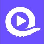 Vloggi Studio logo