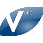 Voiie Marketing Solution logo