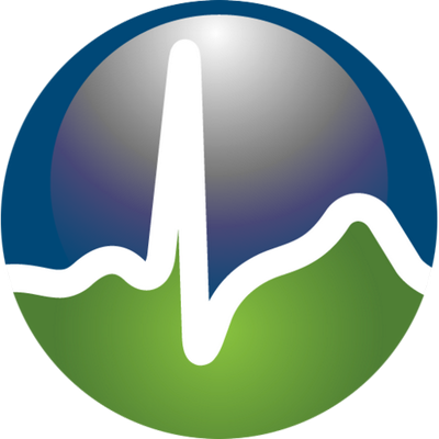 WebSitePulse logo