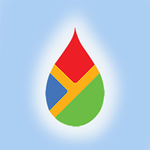 Yaali Forestry Management logo