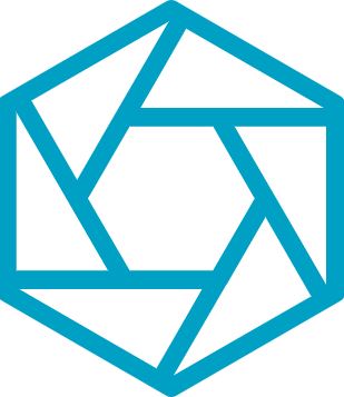 Zinc Synapse logo