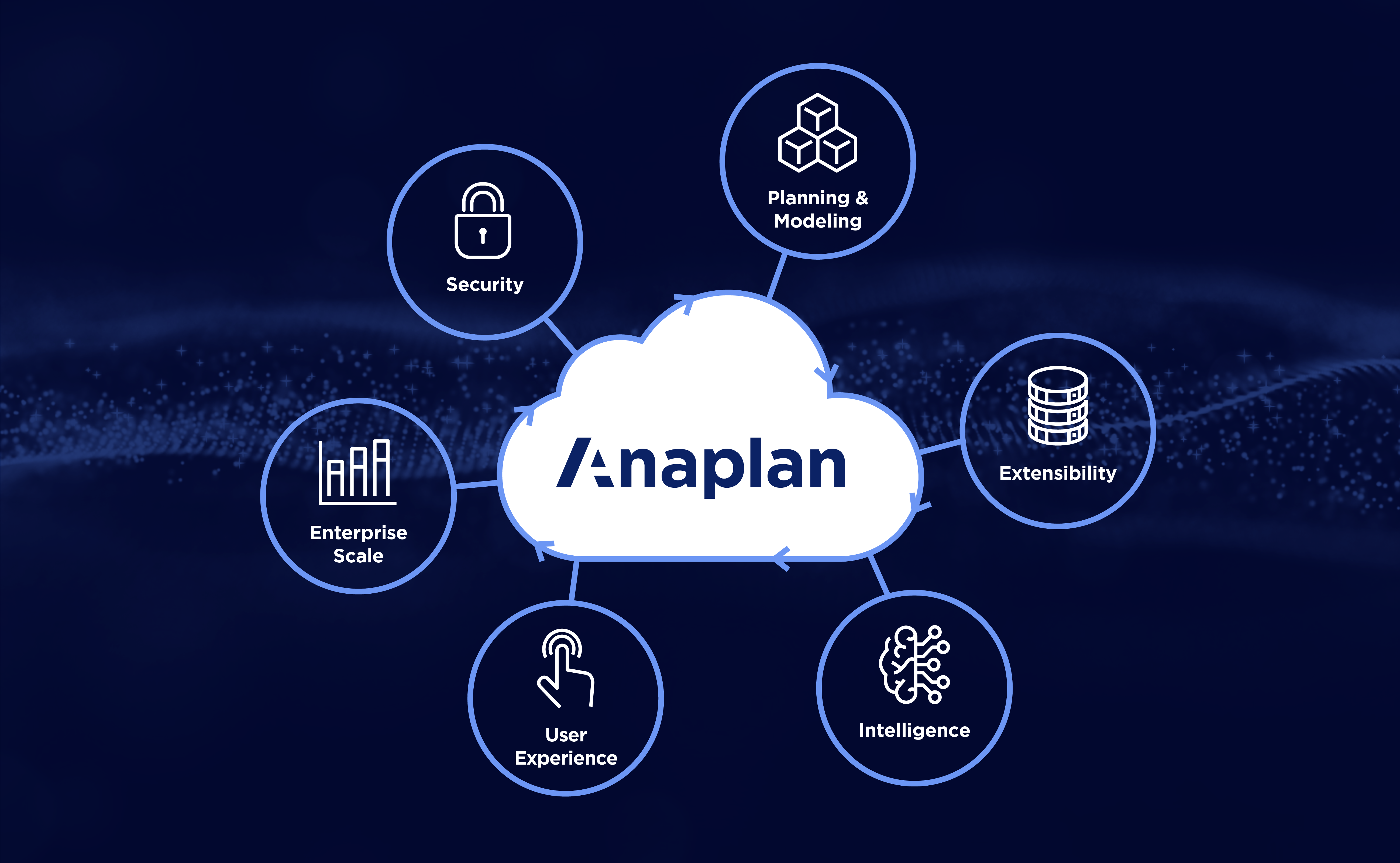 Anaplan screenshot & Video