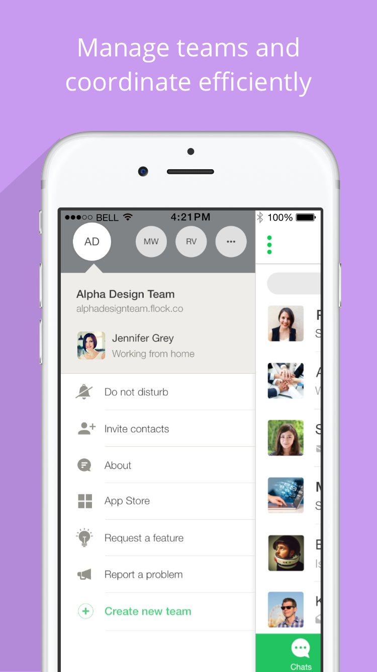 Flock screenshot & Video
