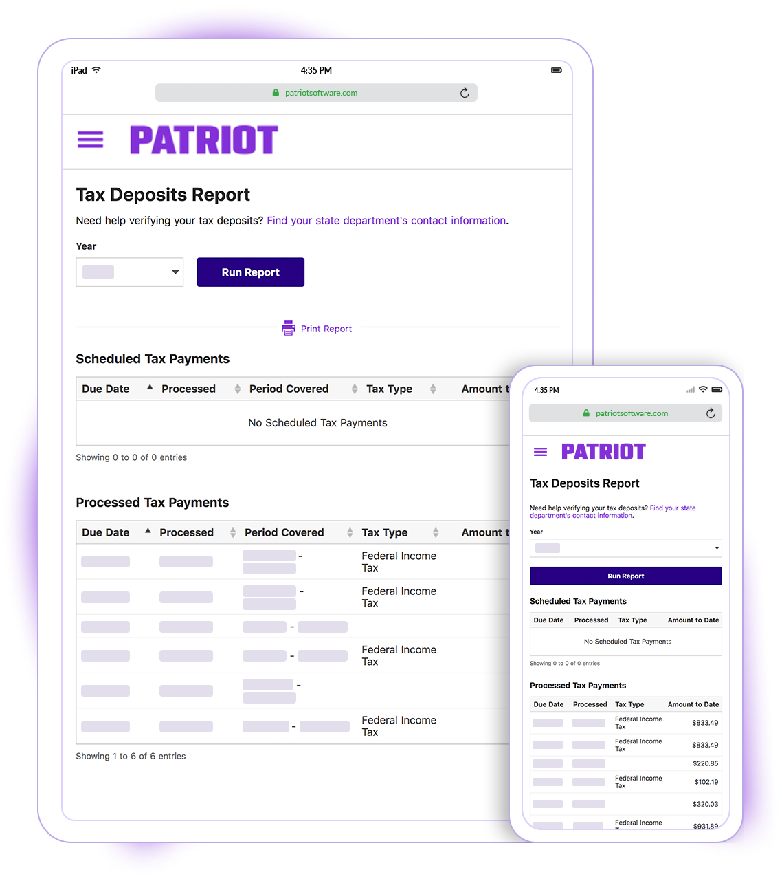 Patriot Payroll screenshot & Video