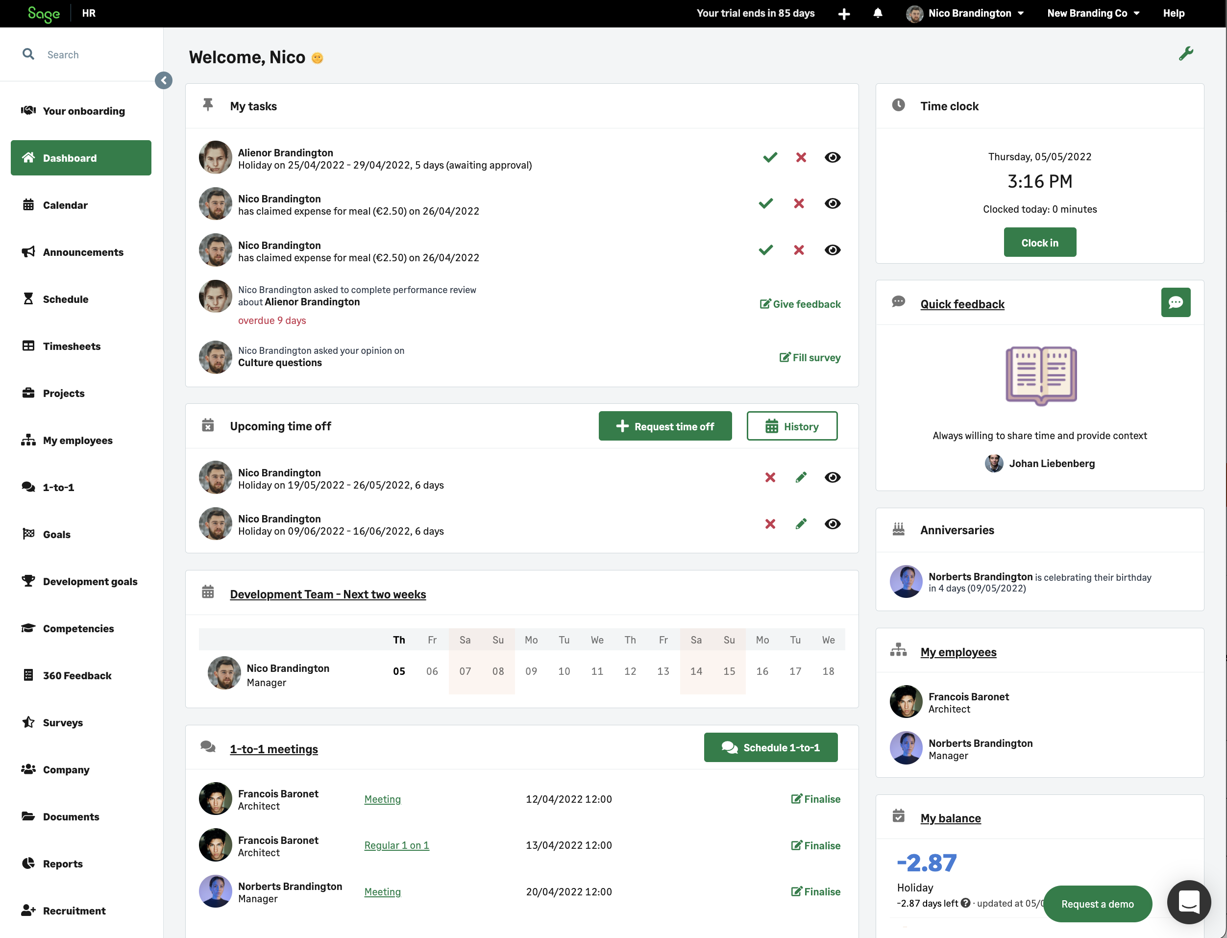 Sage HR screenshot & Video