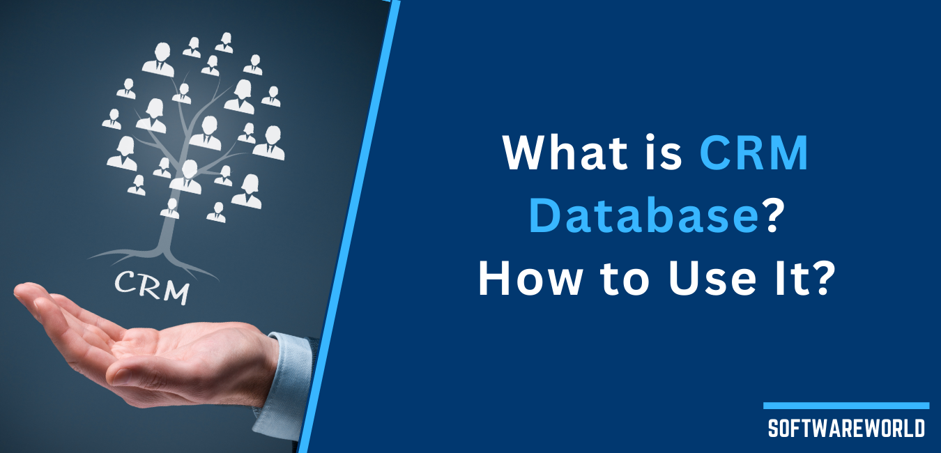 What is CRM Database and How to Use it Effectively?